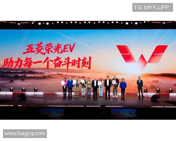 史鸿飞的传奇人生与不凡成就揭示了奋斗与坚持的力量