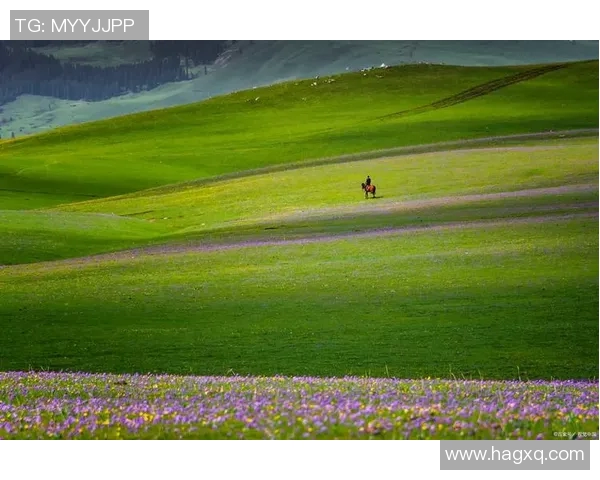 琼斯的传奇人生与不屈精神探索在逆境中绽放的光芒与希望