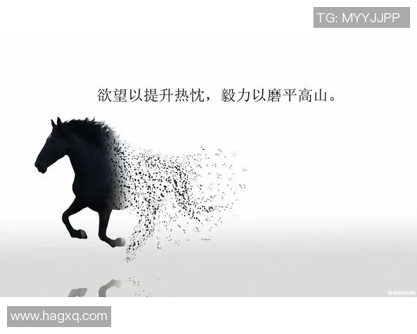 金佳映的成长之路：从平凡到璀璨的奋斗故事与人生启示